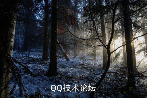 技术qq，QQ技术论坛