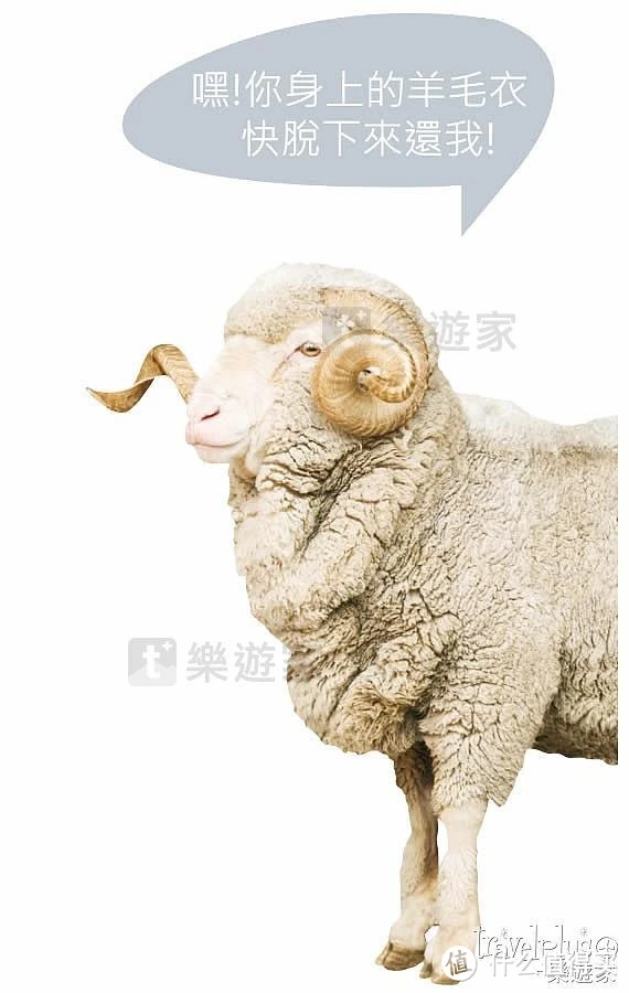 贴身的保暖、舒适及安全——Icebreaker，美利奴（Merino）羊毛底层衣穿着体验